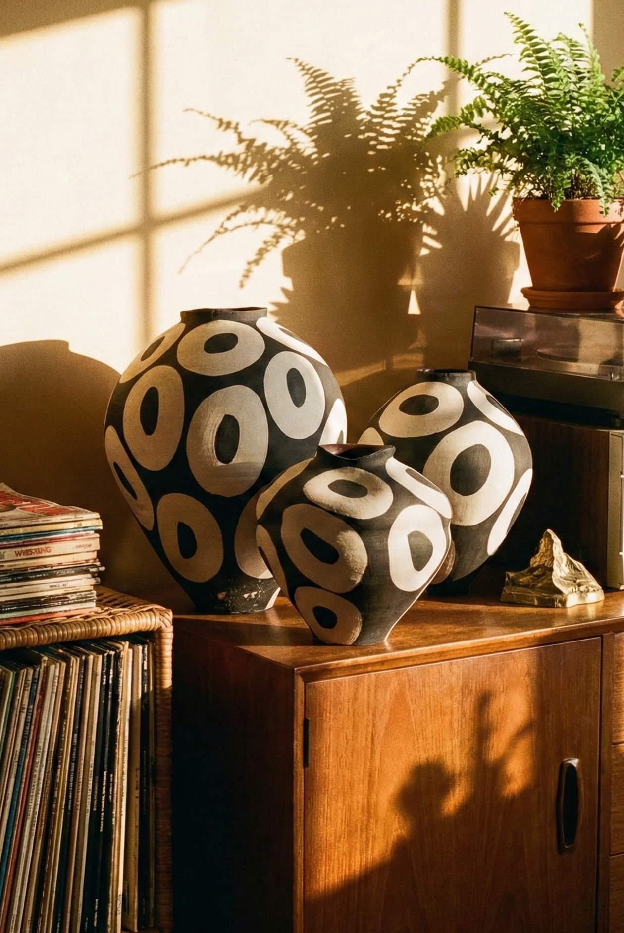 Room interior with vinyl records, vases, and plants under warm sunlight.