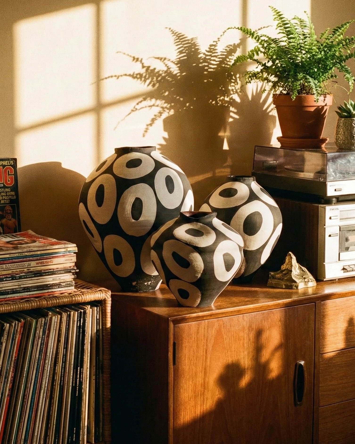 Room interior with vinyl records, vases, and plants under warm sunlight.