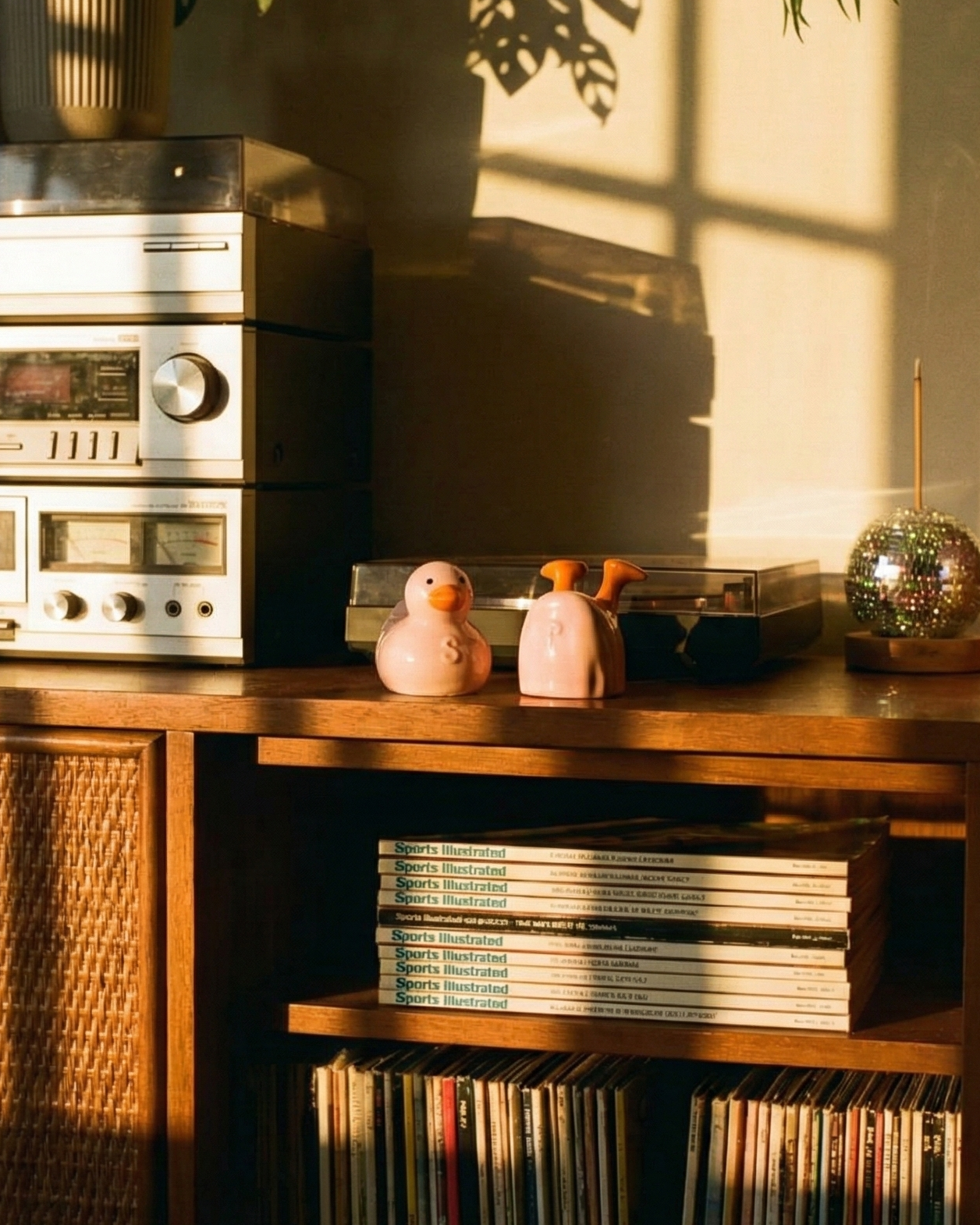 the duck duo | salt and pepper shakers