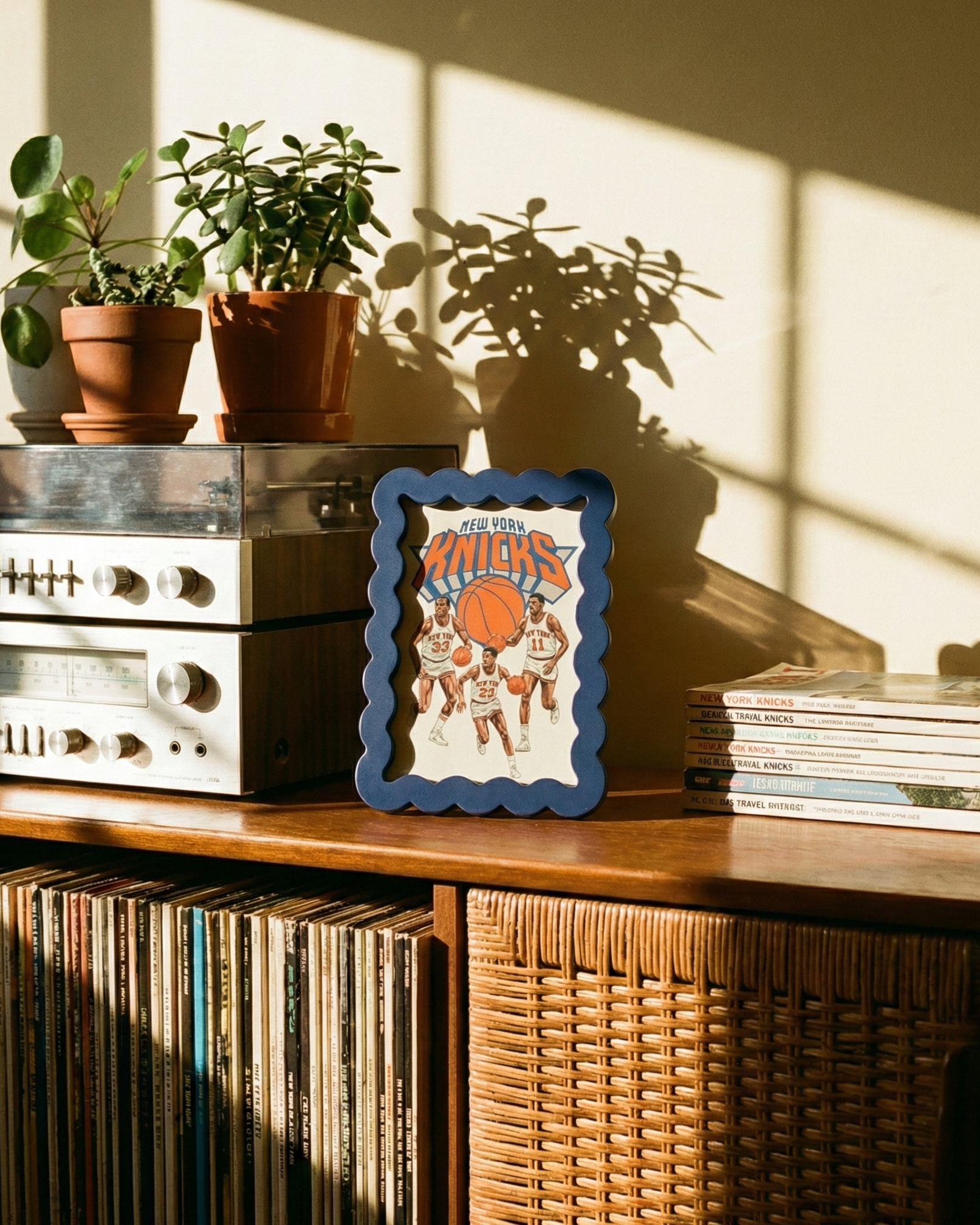 Framed picture of basketball players on a shelf with records and plants