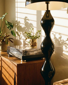 Decorative black lamp on a wooden surface with plants and a record player.
