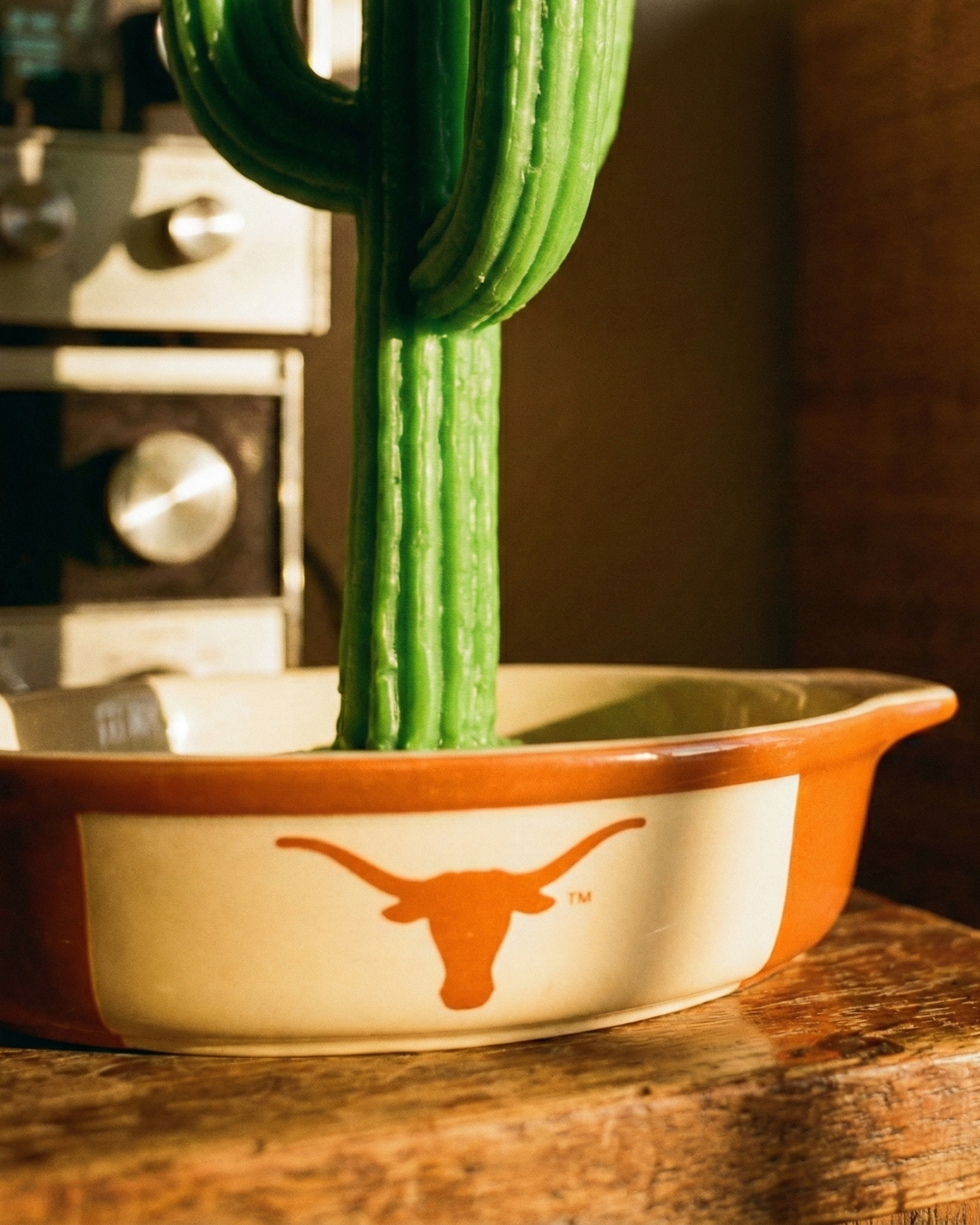 the cactus | wax candle